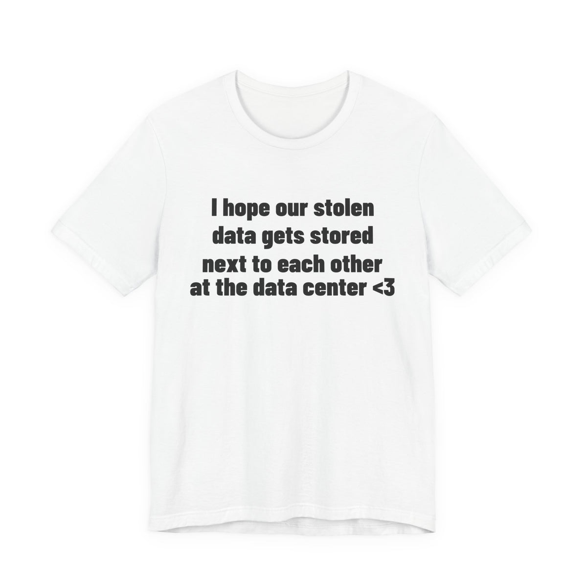 I Hope Our Stolen Data Shirt, White front view, digital mockup